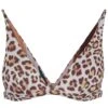 Maaji Women's Cheetah Ivy - Bikini-Top 1 Maaji Women's Cheetah Ivy - Bikini-Top -Wassersportgeschäft maaji womens cheetah ivy bikini top